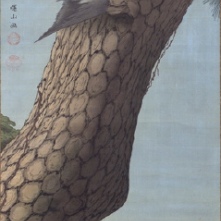 SHOZAN, Satake, Perruche sur le pin, s.d., Collection particulière. Source : http://upload.wikimedia.org/wikipedia/commons/8/8d/Foreign_bird_in_a_pine_tree_by_Satake_Shozan_%28Yokote_Akita%29.jpg Licence libre Wikipedia.